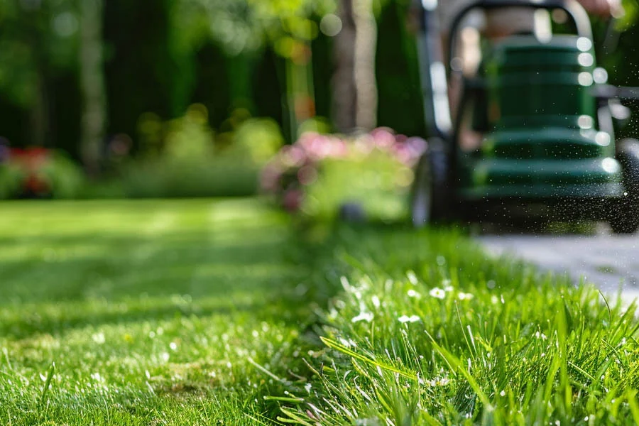 electric powered lawn mower